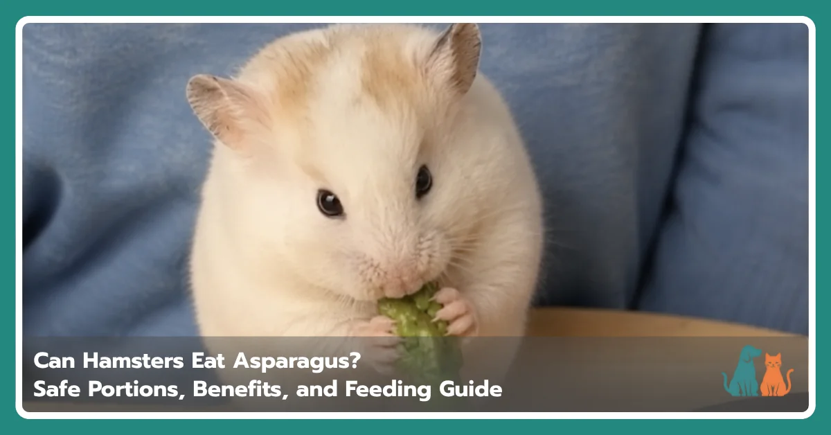 Can Hamsters Eat Asparagus? Safe Feeding Guide