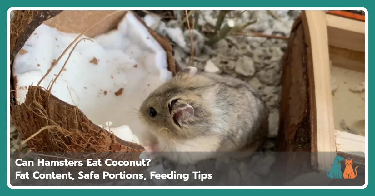 Can Hamsters Eat Coconut? Fat Content, Safe Portions, Feeding Tips