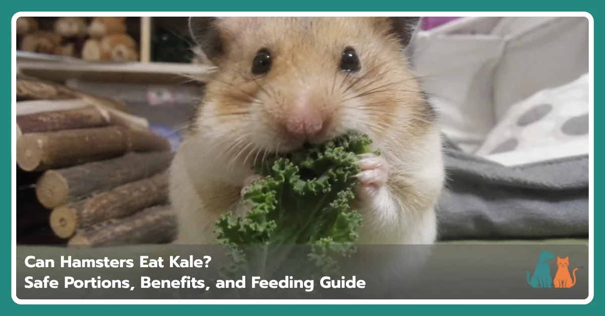 Can Hamsters Eat Kale? Safe Portions, Benefits, and Feeding Guide