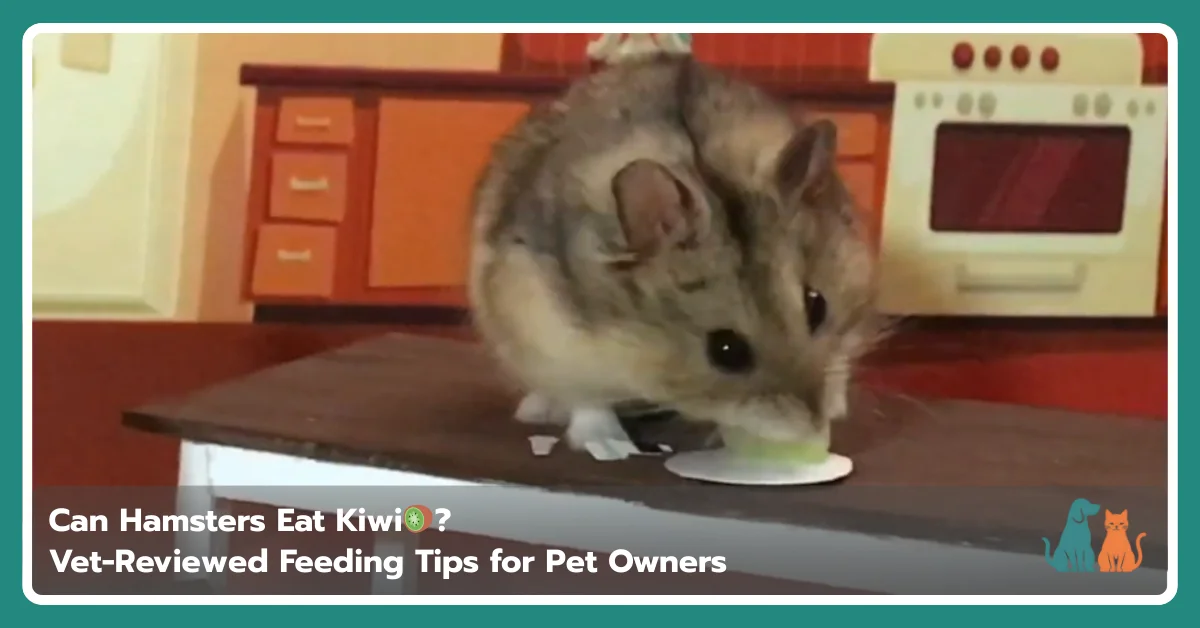 Can Hamsters Eat Kiwi? Safety, Sugar Concerns, and Portions