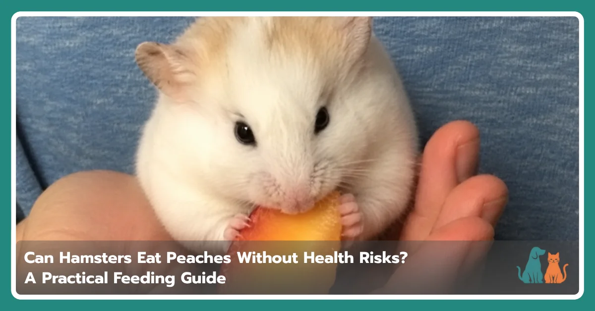 Can Hamsters Eat Peaches? Safe Portions and Guidelines