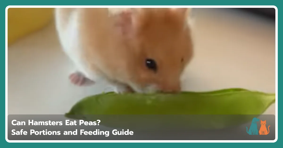 Can Hamsters Eat Peas? Safe Portions and Feeding Guide