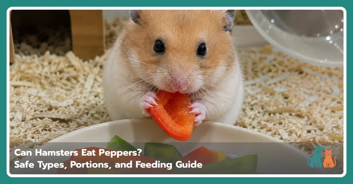 Can Hamsters Eat Peppers? Safe Types, Portions, and Feeding Guide