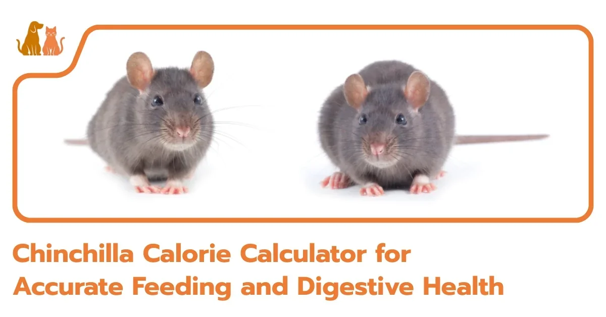 Chinchillas Calorie Calculator
