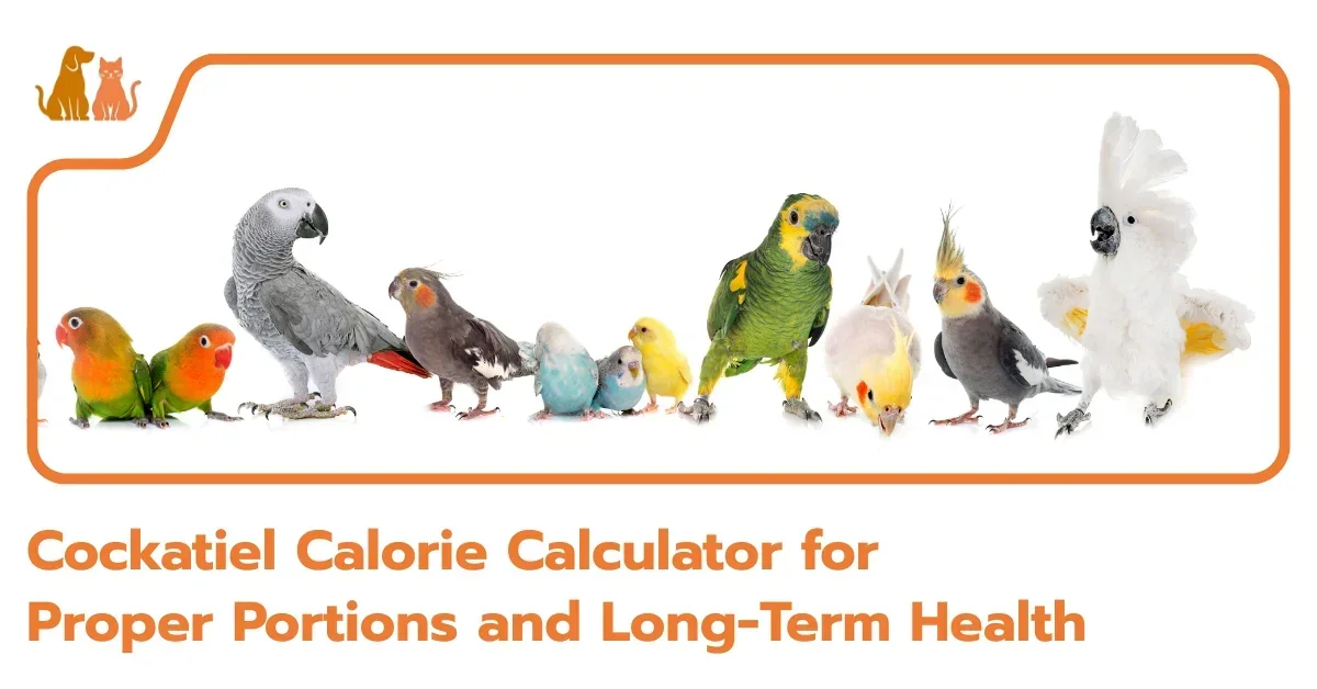 Cockatiels Calorie Calculator