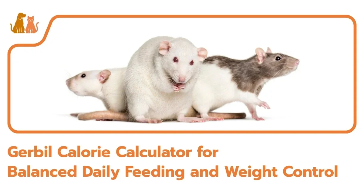 Gerbil Calorie Calculator