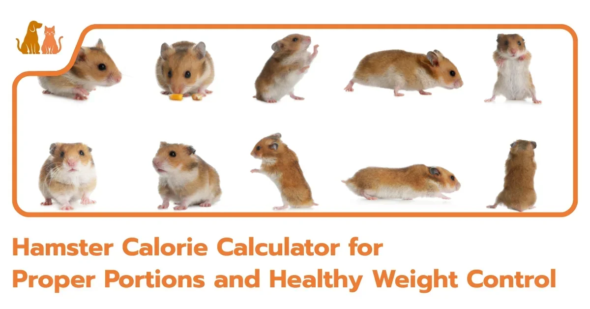 Hamster Calorie Calculator