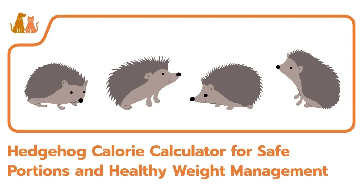 Hedgehog Calorie Calculator