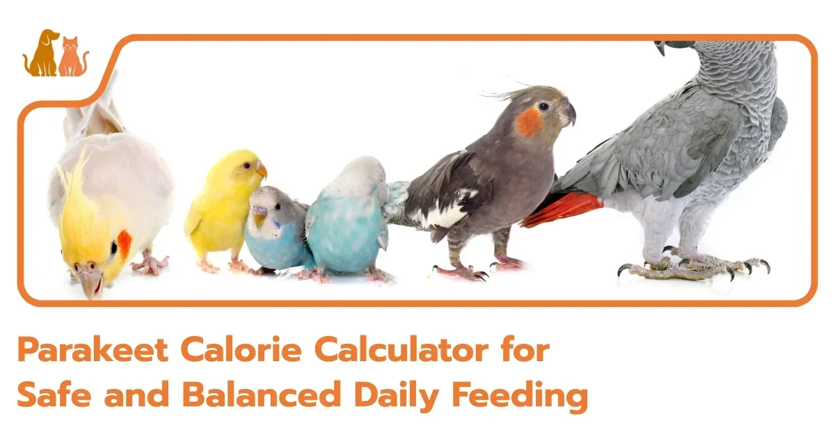 Parakeet Calorie Calculator