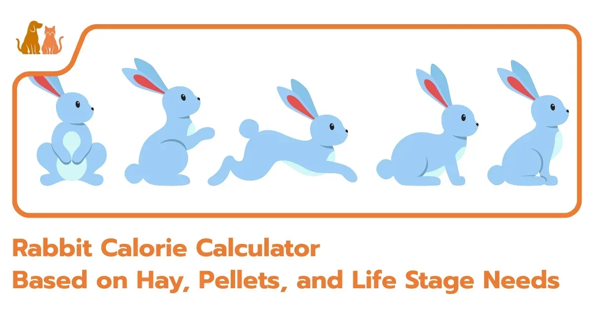 Rabbit Calorie Calculator