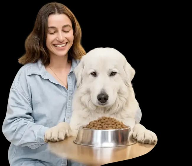Pet nutrition reports