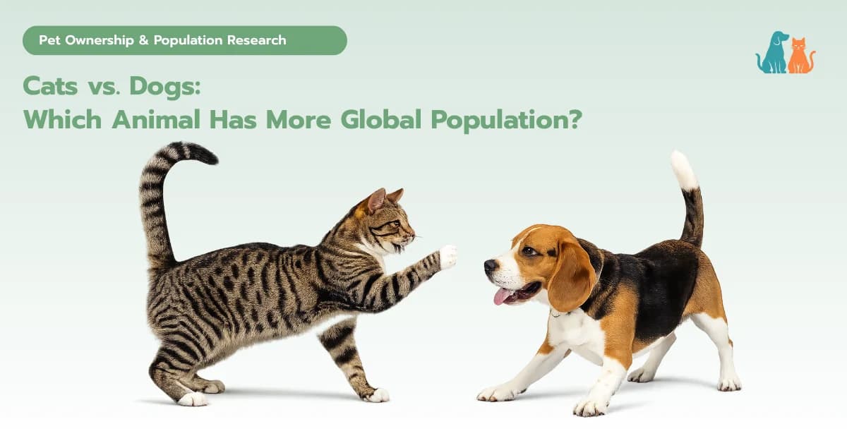 Are There More Cats or Dogs in the World?