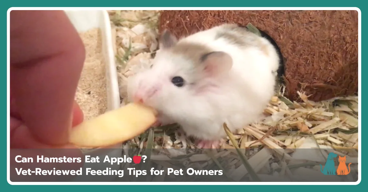 Can Hamsters Eat Apples? Safe Feeding Guide for Hamsters Can Hamsters Eat Apples? Safe Feeding Guide for Hamsters