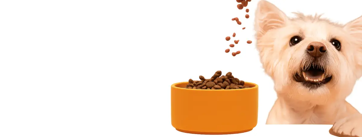 Pet nutrition support Pet nutrition support