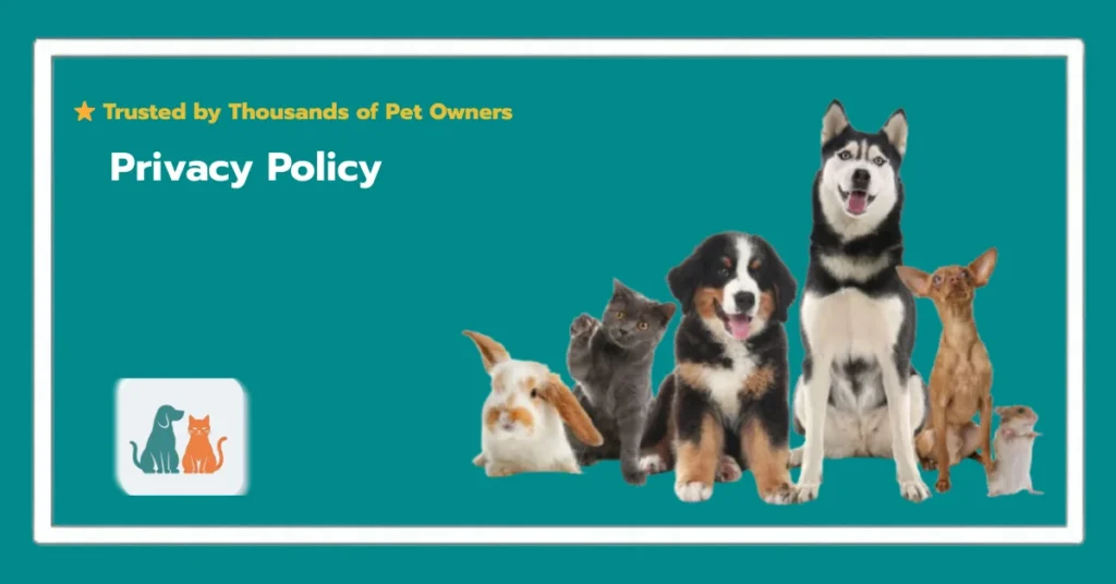 privacy policy privacy policy