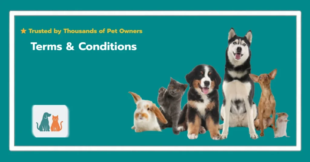 terms and conditions