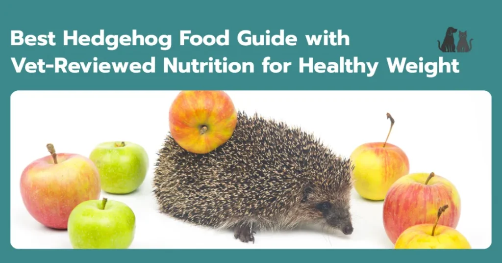 Best Hedgehog Food Guide Best Hedgehog Food Guide