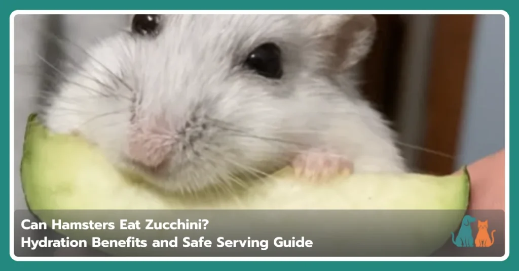 Can Hamsters Eat Zucchini Can Hamsters Eat Zucchini